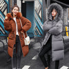 Korean Style Plus Size Slim-fit Hooded Women's Down Jacket